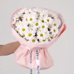 buket romashki hrizantema 6